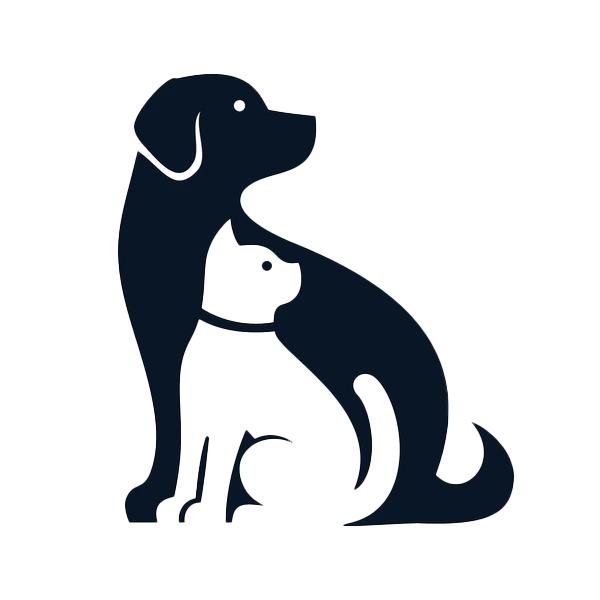 cat and dog